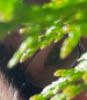 Medium Dajana - Medium & Channeling - Chakren-Harmonisierung - Hellsehen & Wahrsagen - Arbeitslosigkeit - Lebensberatung Themen