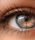 _Annie - Reiki - Psychologische Lebensberatung - Hellsehen & Wahrsagen - Chakren-Harmonisierung - sonstige Bereiche
