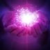 Zanna - Klassische Astrologie - sonstige Bereiche - Wahrsagen - Lebensberatung Themen - Medium & Channeling