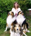 _Sybille K - Beruf & Arbeitsleben - Medium & Channeling - Hellsehen & Wahrsagen - Rider Waite Tarot - Tarot & Kartenlegen