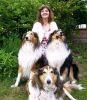 Sybille K - Beruf & Arbeitsleben - Medium & Channeling - Lebensberatung Themen - Tarot & Kartenlegen - Rider Waite Tarot