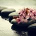 Annie - Reiki - Chakren-Harmonisierung - Psychologische Lebensberatung - Zigeunerkarten - sonstige Bereiche