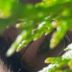Medium Dajana - Engelkontakte - Beruf u. Lebensplanung - Psychologische Lebensberatung - Selbstständigkeit - Medium & Channeling
